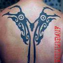 Tribal35