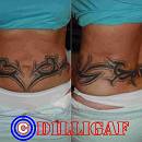 Tribal44